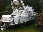 boat for sale