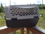 Dog Kennel