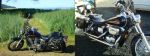 Motorcycle. 2001 Honda Shadow