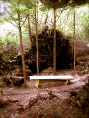 oldmassetplayground3