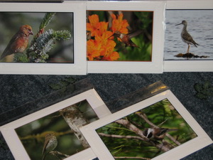 cards